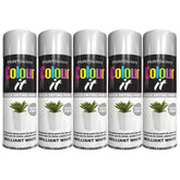 5X Paint Factory White Gloss Spray Paint 250ml Spray Paint